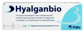  Гиалганбио раствор для внутрисосудистого введения 20 мг/2 мл шприц  в Москве оптом купить